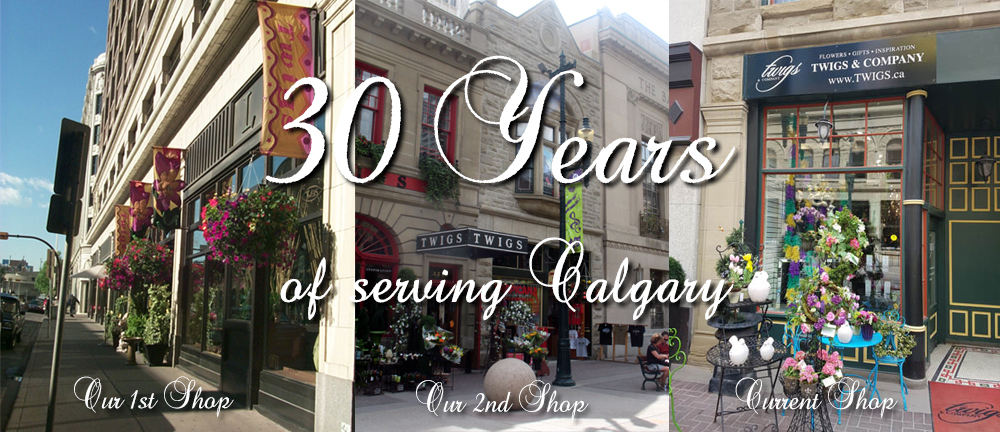 Celebrating 230 Years of Excellence